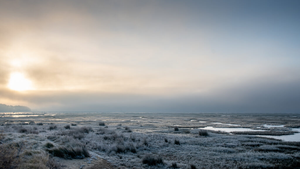 Bassin d'Arcachon : Matin d'hiver à Arès