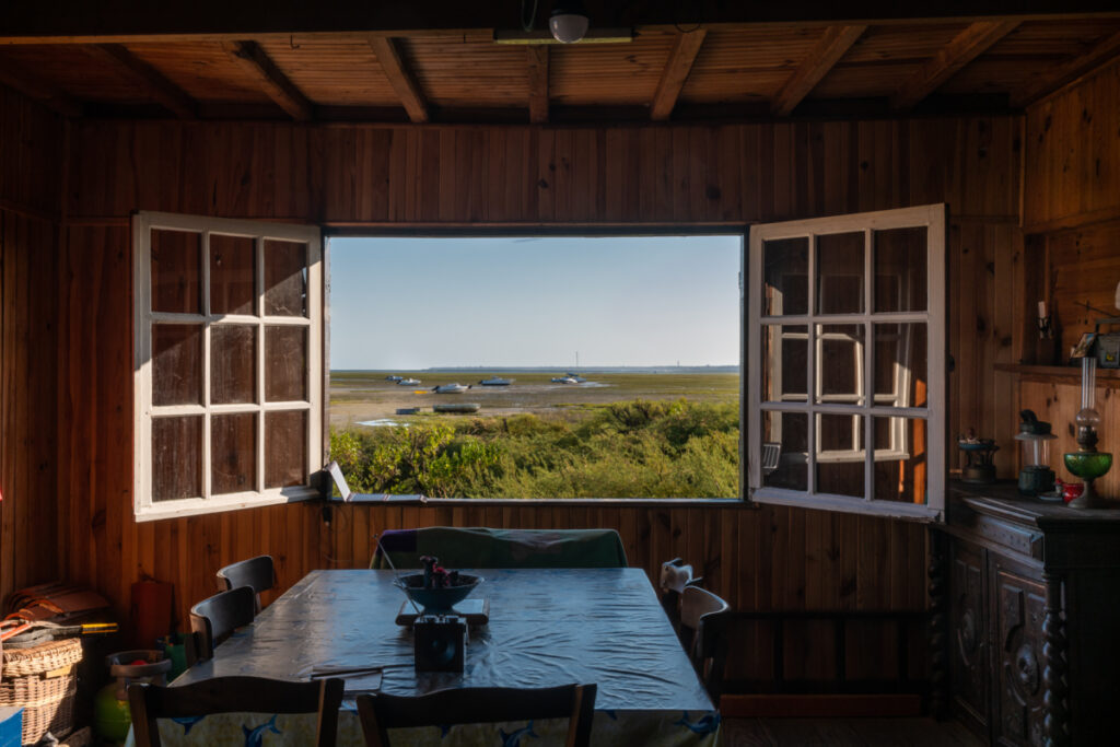 Bassin d'Arcachon : Une fenêtre sur l'Ile aux oiseaux