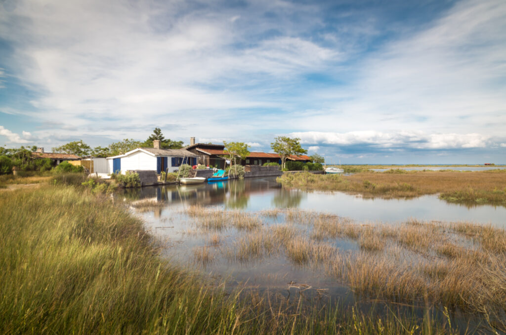 Bassin d'Arcachon : Ile aux Oiseaux quartier Afrique