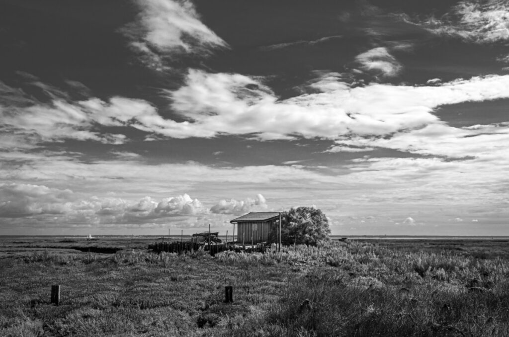 Bassin d'Arcachon : Cabane sur l'Ile aux Oiseaux