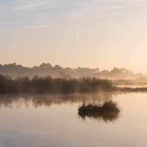 Bassin d'Arcachon : Etang Les Quinconces à Andernos