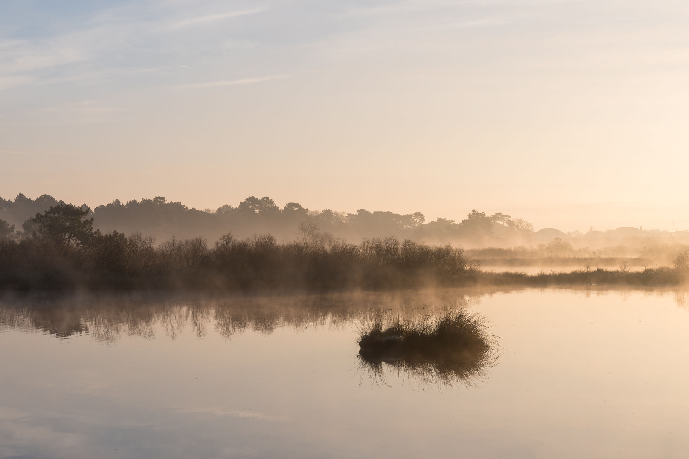 Etang Les Quinconces à Andernos