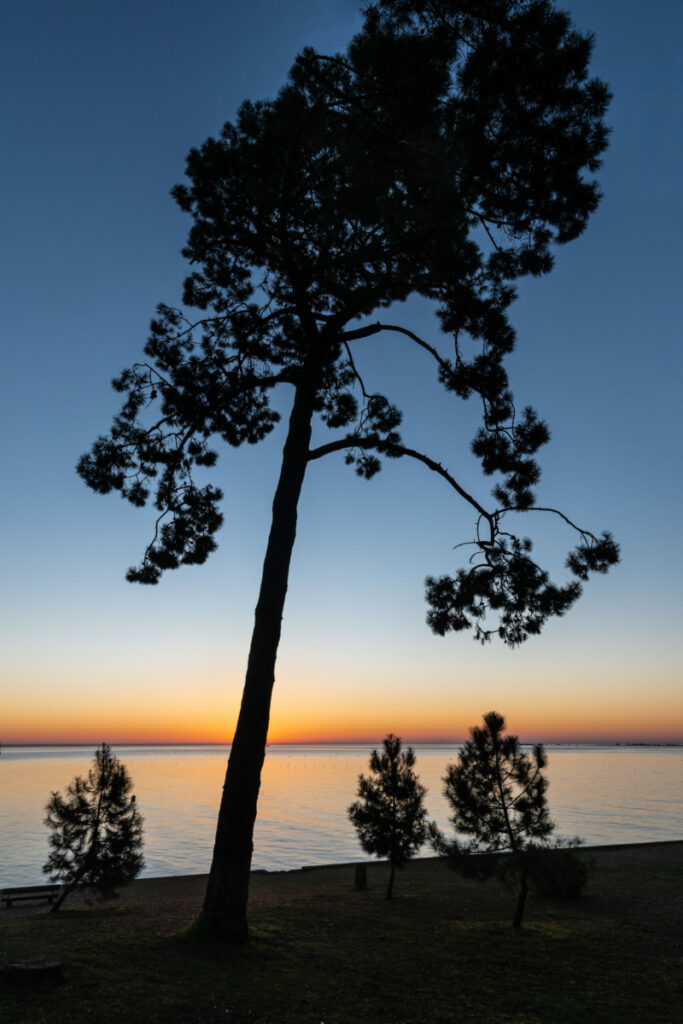 Bassin d'Arcachon : Lever de soleil à La Pointe aux Chevaux