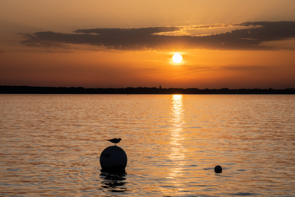 Bassin d'Arcachon : Sur l'eau