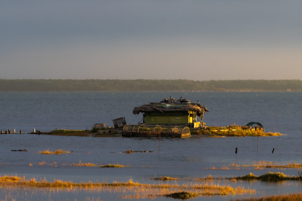 Bassin d'Arcachon : Tonne Ile aux Oiseaux