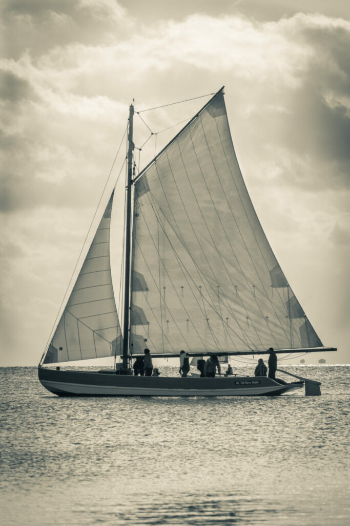 Bassin d'Arcachon, bateau, Bac à voiles, régate à Andernos