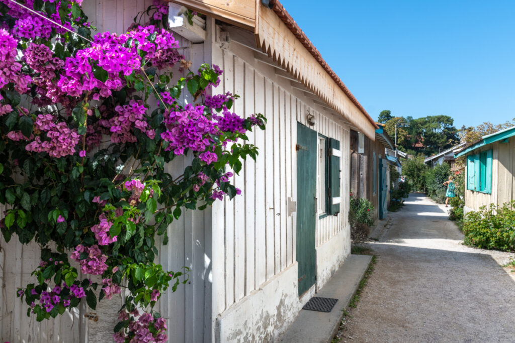 Bassin d'Arcachon : Cabanes Village du Canon