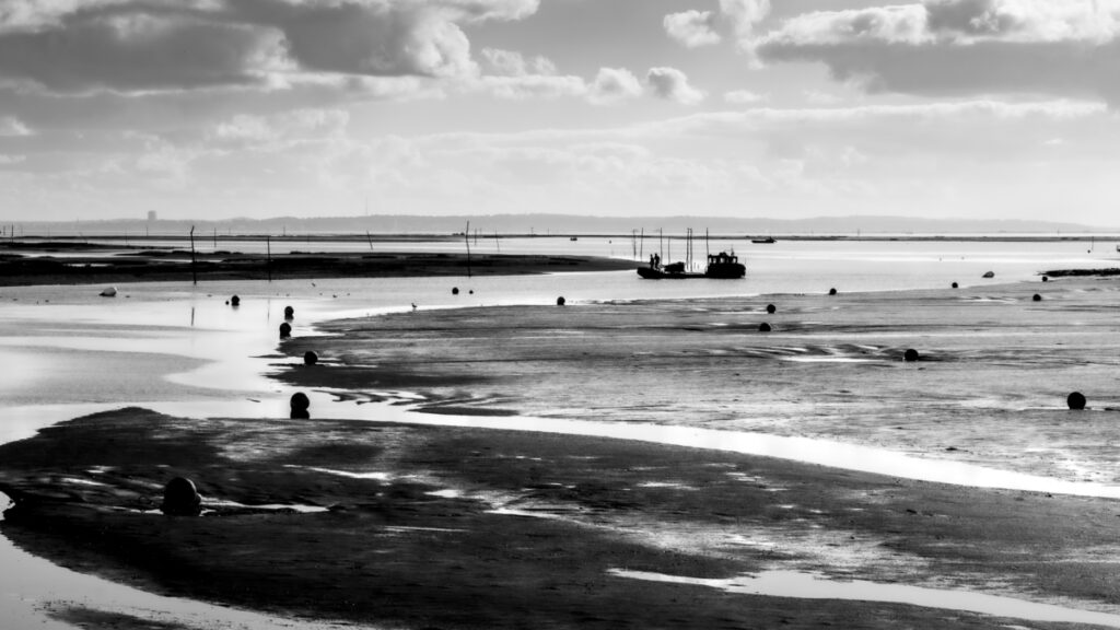 Bassin d'Arcachon : Marée basse au port d'Arès