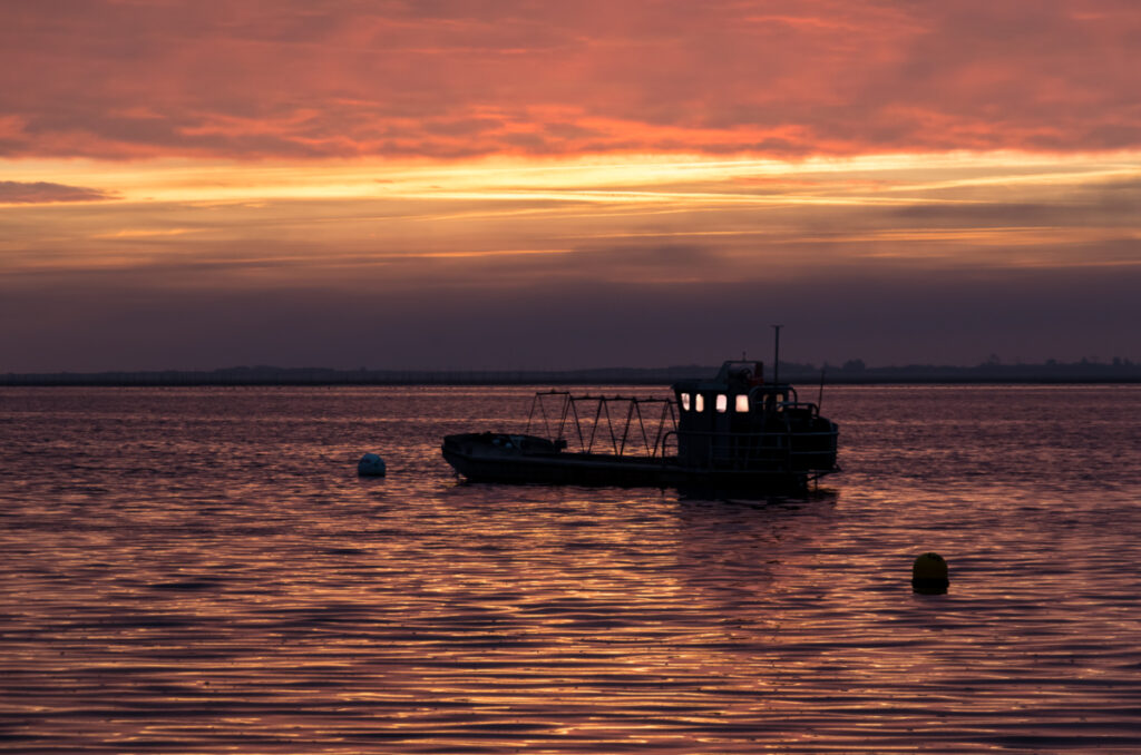 Bassin d'Arcachon, Lever de soleil Grand Piquey Cap-Ferret