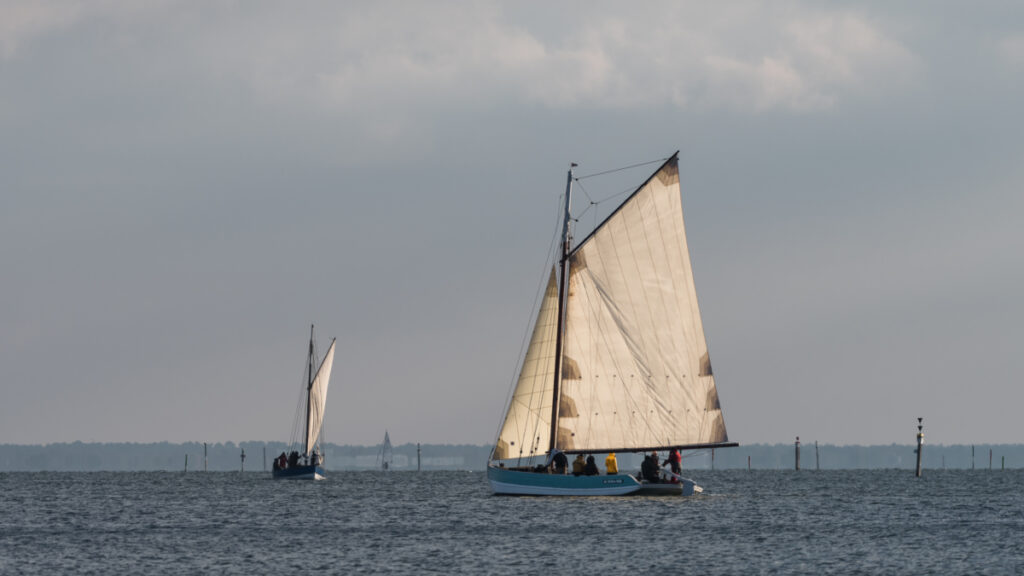 Bassin d'Arcachon, bateau à voiles, Régate vieux gréments Andernos