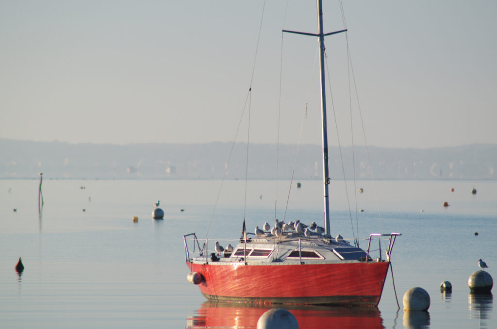 Bassin d'Arcachon, bateau, Voilier aux mouettes Arès