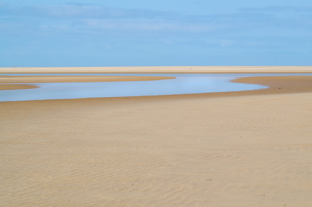 Bassin d'Arcachon, banc d'Arguin