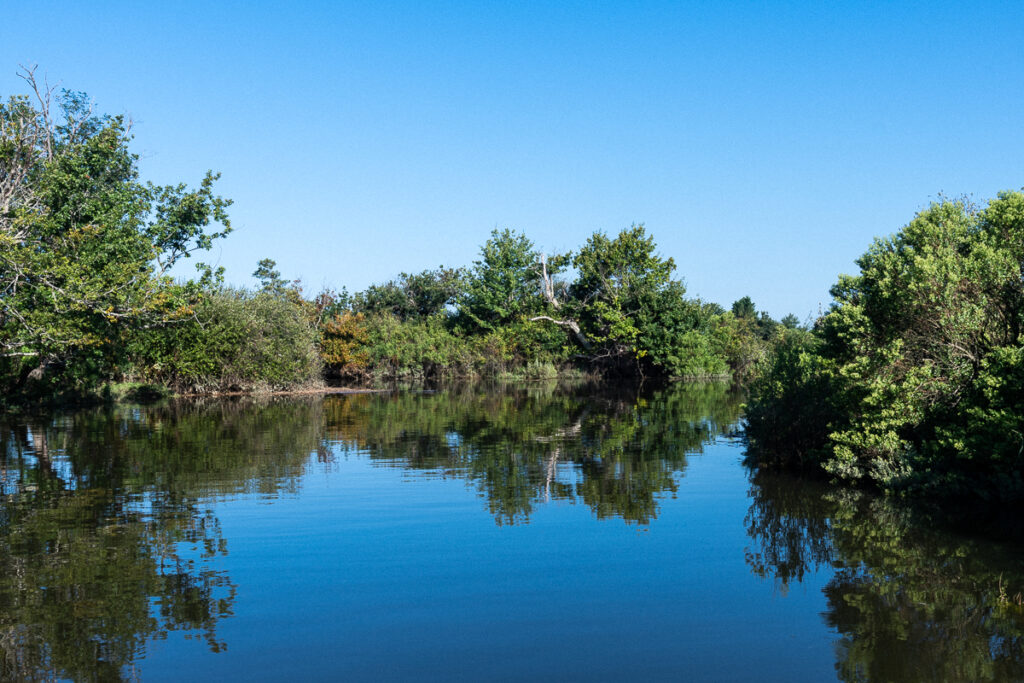 bassin d'Arcachon, le delta de l'Eyre à Biganos