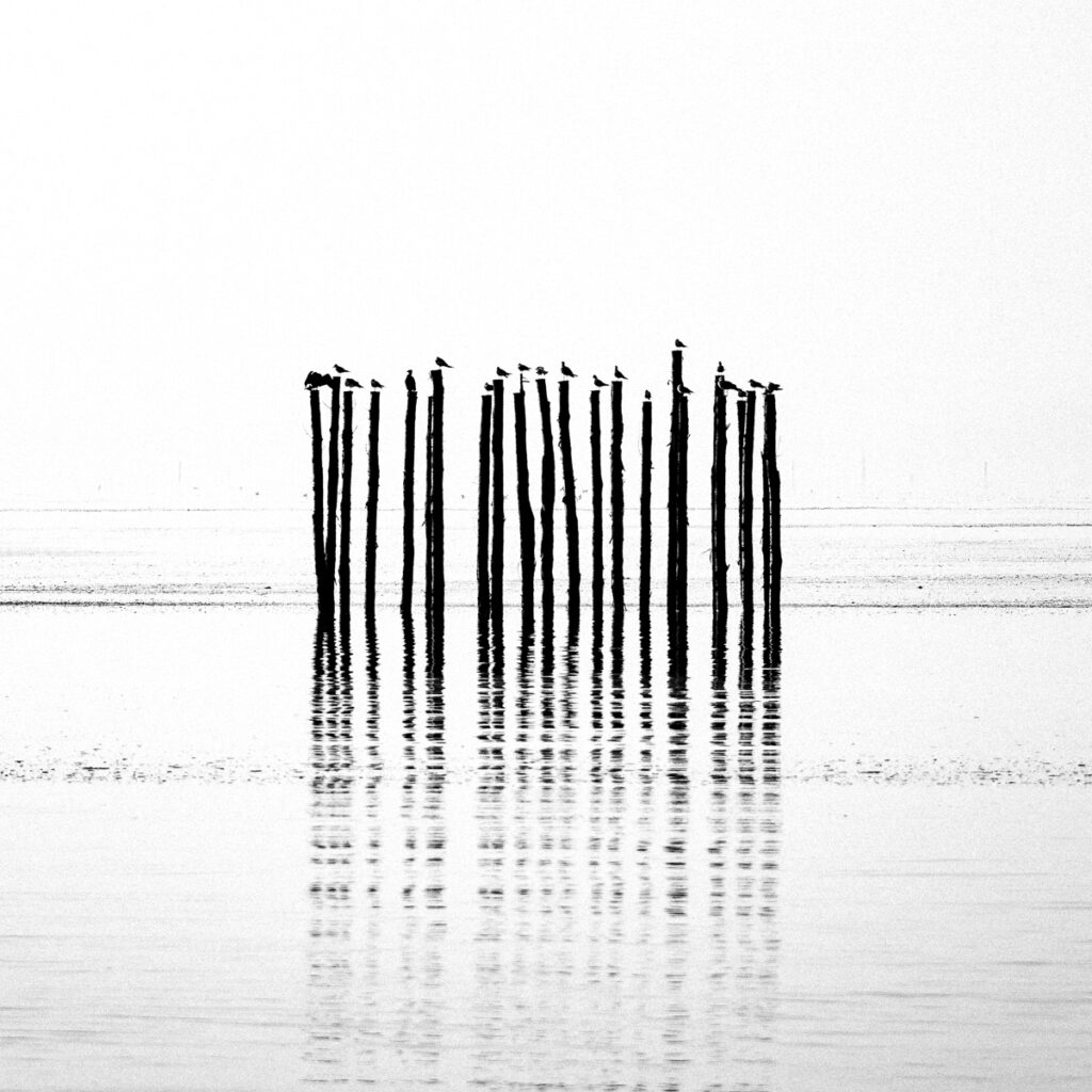 Bassin d'Arcachon, Andernos Les Quinconces, traitement high key