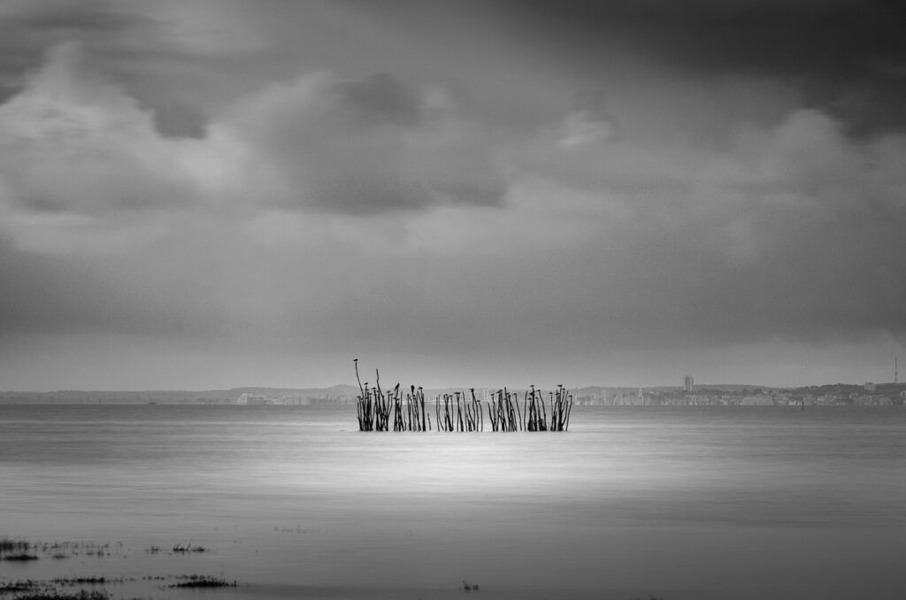 Bassin d'Arcachon, Andernos les Qionconces, pose longue noir et blanc