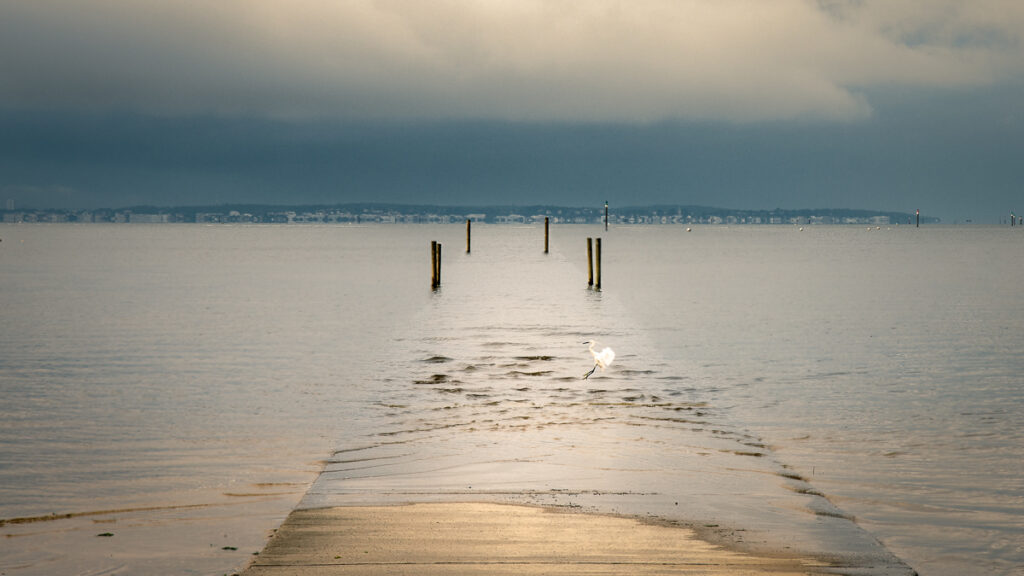 Bassin d'Arcachon jetée d'Arès et Aigrette gazette