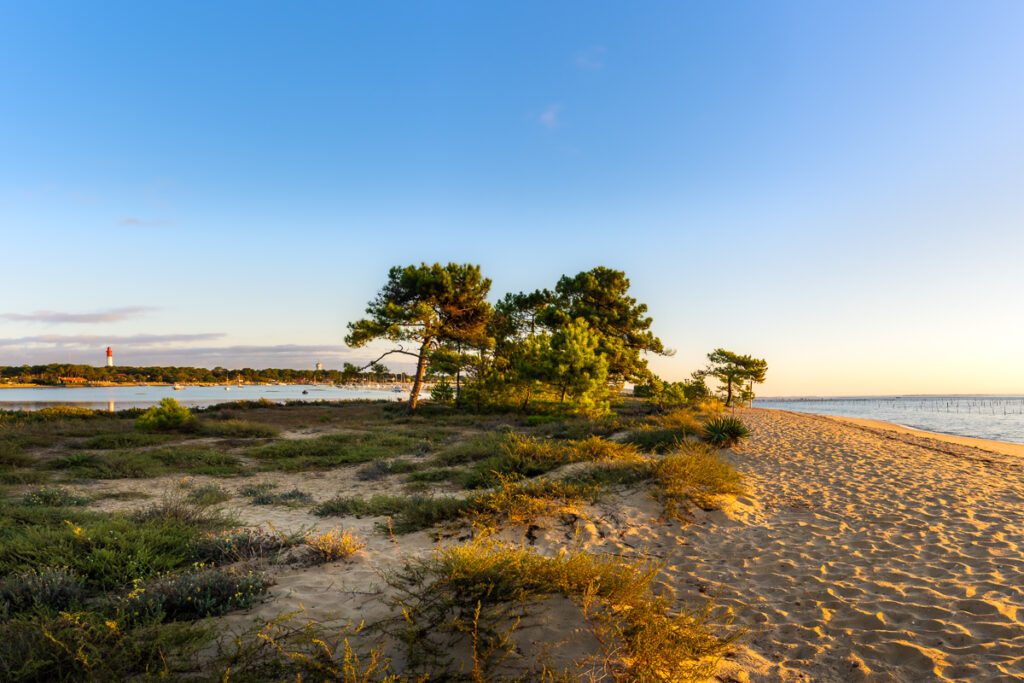 Lever de soleil sur le Tombeau, Bassin d'Arcachon, Cap-Ferret